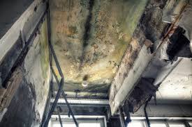 Mold Remediation for Rental Properties in Lancaster, SC